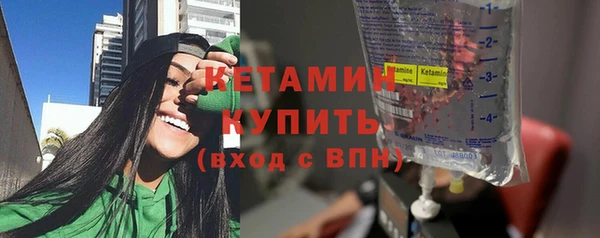 крисы Кулебаки