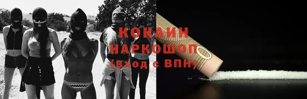 крисы Кулебаки