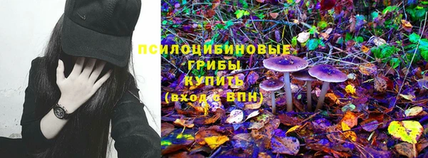 эйфоретик Абаза