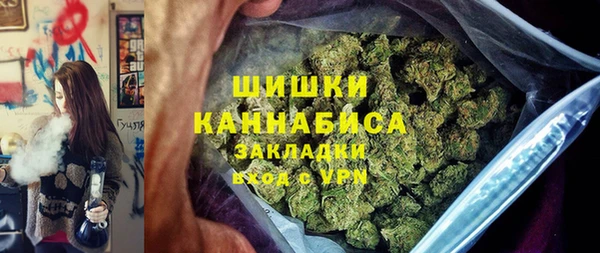 крисы Кулебаки