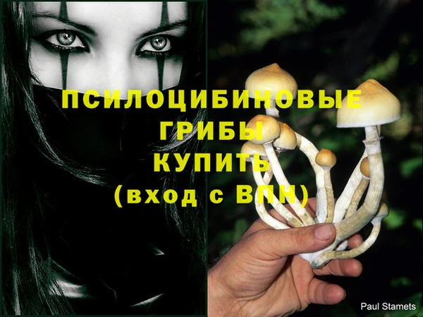MDMA Premium VHQ Куйбышев