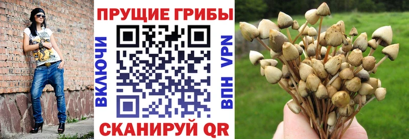 omg как зайти  Альметьевск  Галлюциногенные грибы мухоморы 